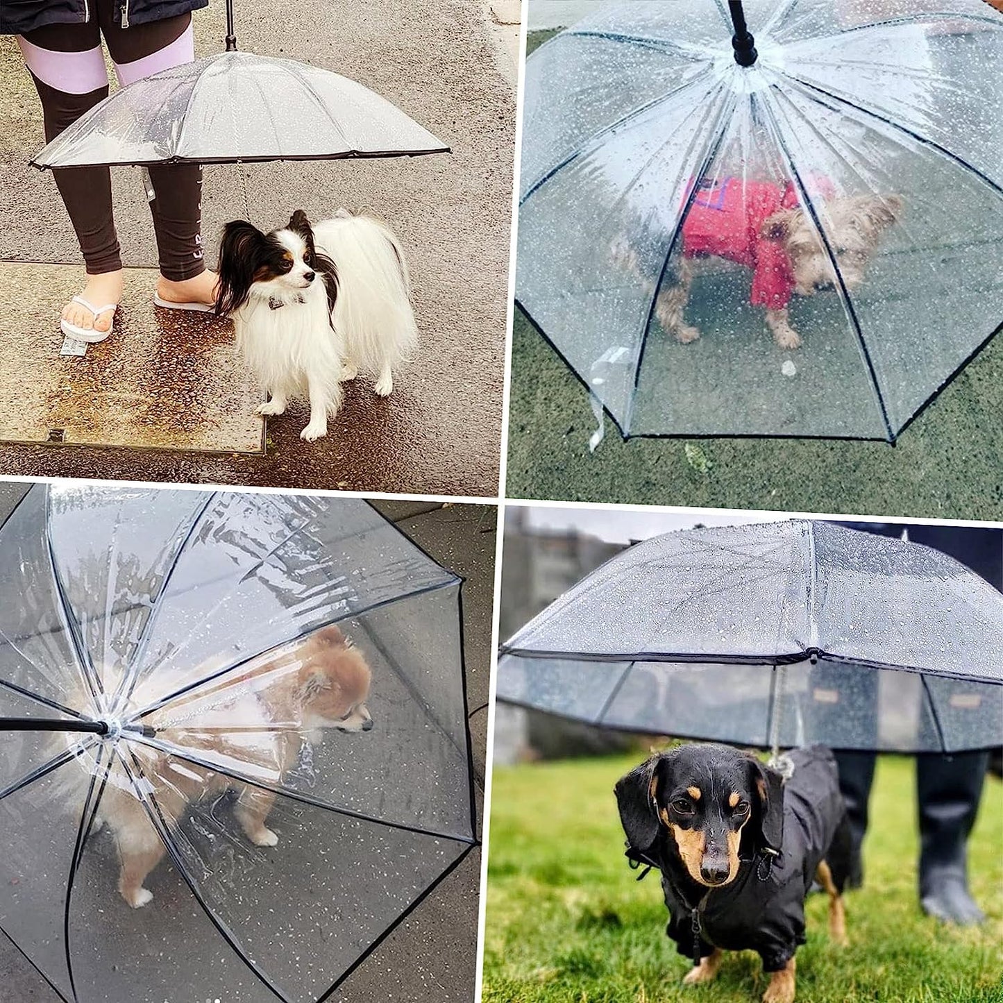 Dog Umbrella with Leash