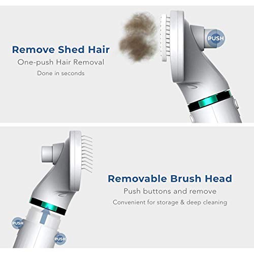 Portable and Quiet 2 in 1 Pet Hair Dryer