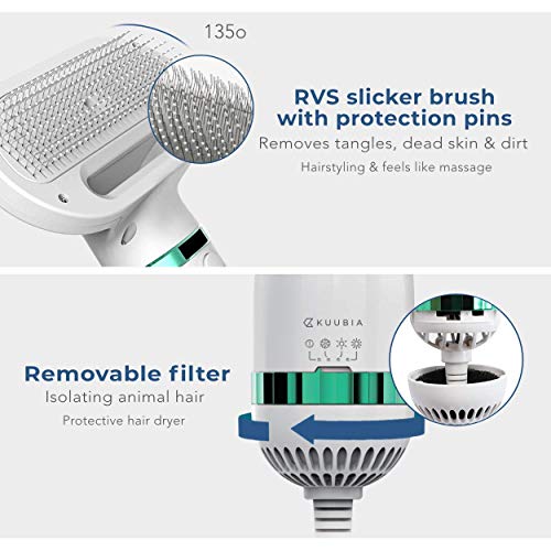 Portable and Quiet 2 in 1 Pet Hair Dryer