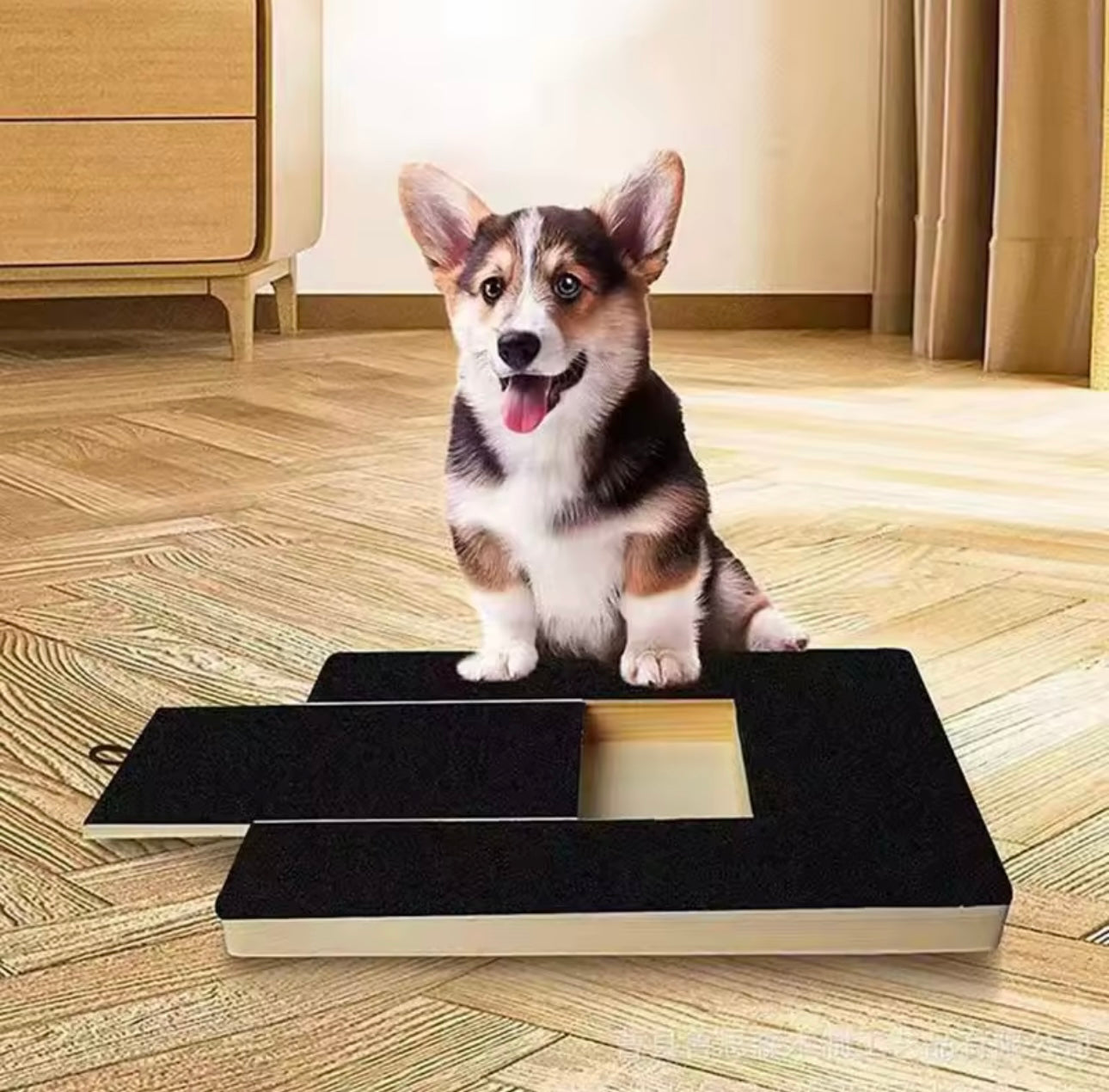 Dog Nail Scratch Board