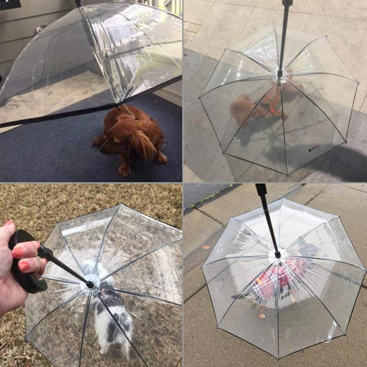 Dog Umbrella with Leash