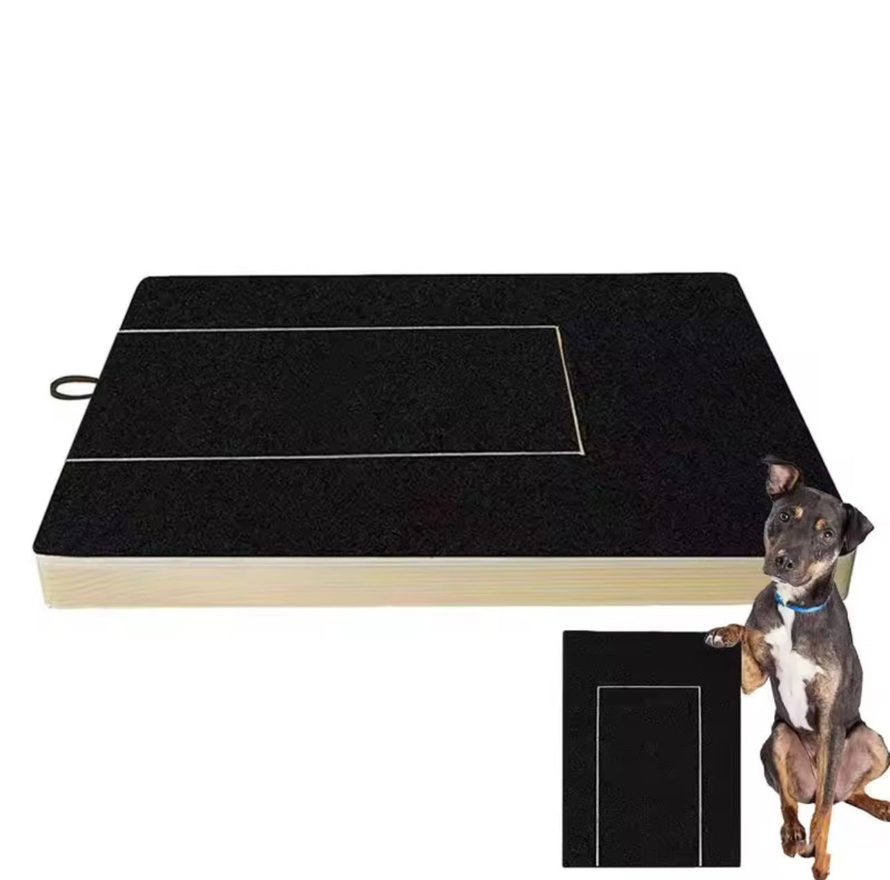 Dog Nail Scratch Board